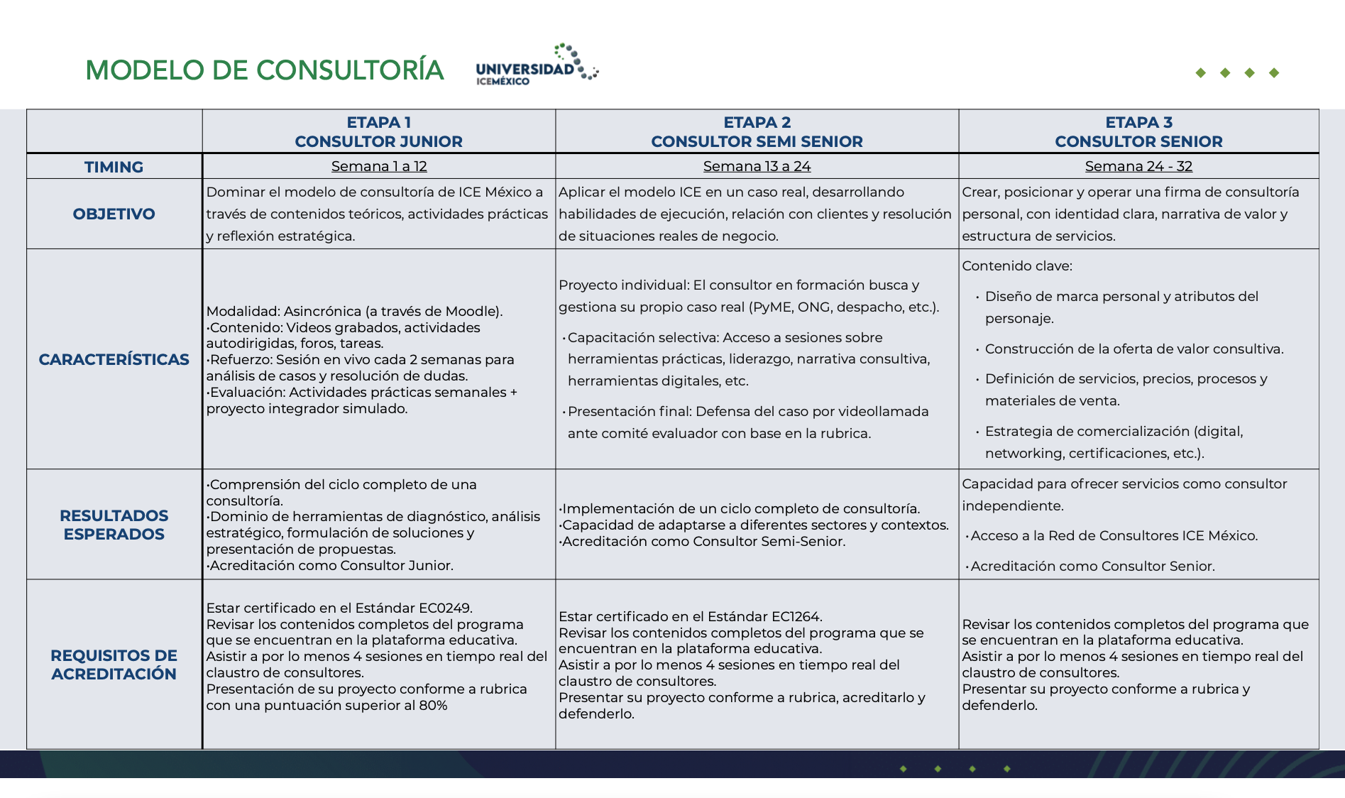 modelo de consultoría