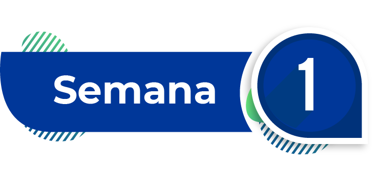 imagen semana 1
