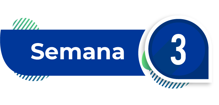 imagen semana 3