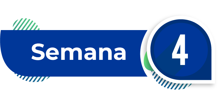 imagen semana 4