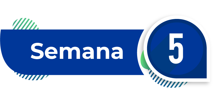 imagen semana 5