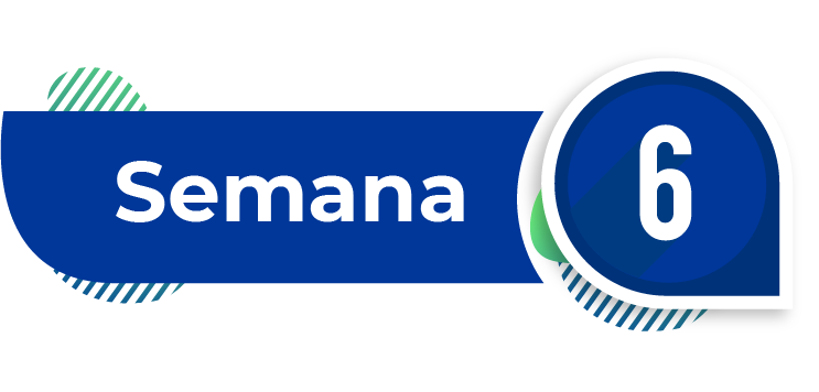 imagen semana 6