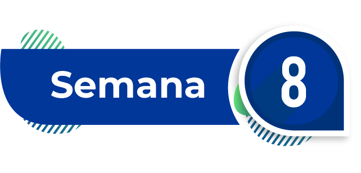 imagen semana 8