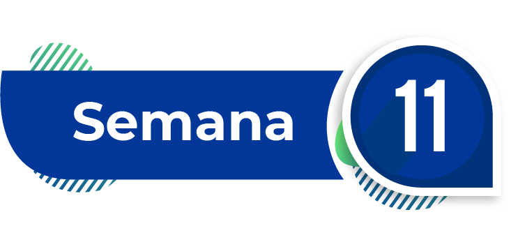 imagen semana 11