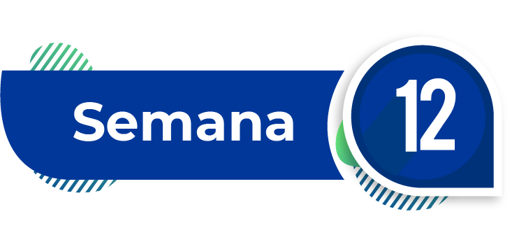 imagen semana 12